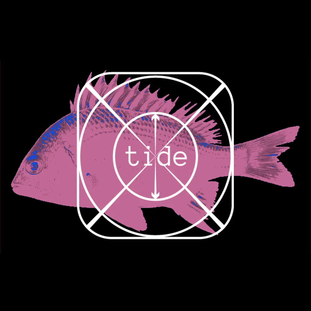 Project Tide