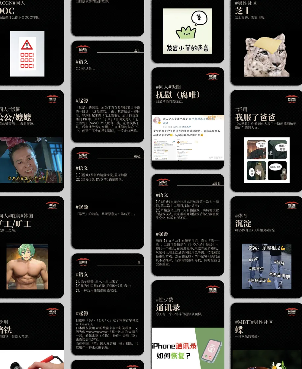 Project Images 3